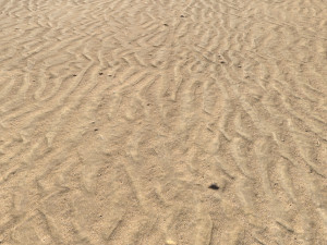 desert wasteland ground pbr pack 9 Texturas CG