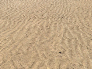 desert wasteland ground pbr pack 9 CG Textures