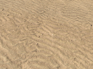 desert wasteland ground pbr pack 9 Texturas CG