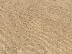 desert wasteland ground pbr pack 9 CG Textures