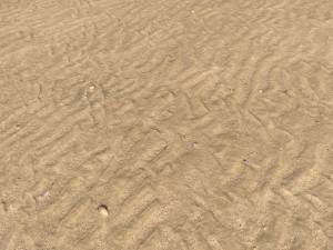 desert wasteland ground pbr pack 9 Texturas CG