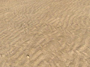 desert wasteland ground pbr pack 9 CG Textures