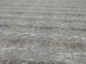 stone floor pbr pack 3 CG Textures