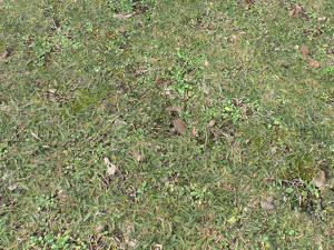 forest ground pbr pack 10 CG Textures
