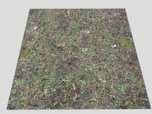 forest ground pbr pack 10 CG Textures