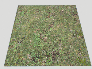 forest ground pbr pack 10 Texturas CG