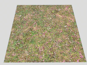 forest ground pbr pack 10 CG Textures