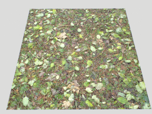forest ground pbr pack 10 Texturas CG
