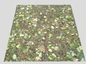 forest ground pbr pack 10 CG Textures