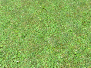forest ground pbr pack 11 CG Textures