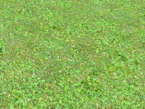 forest ground pbr pack 11 CG Текстуры