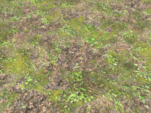 forest ground pbr pack 11 CG Текстуры