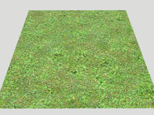 forest ground pbr pack 11 CG Текстуры