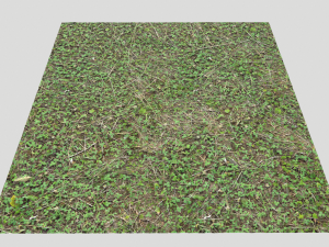 forest ground pbr pack 11 CG Текстуры
