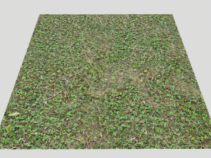 forest ground pbr pack 11 CG Textures