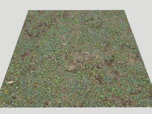 forest ground pbr pack 11 CG Текстуры