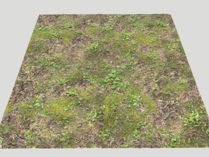 forest ground pbr pack 11 CG Текстуры