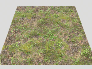 forest ground pbr pack 11 CG Textures