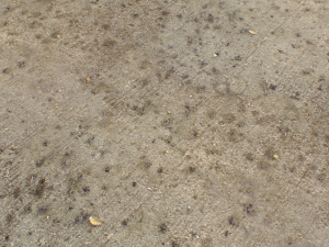 concrete floor textures pbr pack 3 CG 텍스쳐