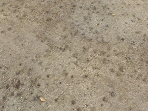 concrete floor textures pbr pack 3 CG Textures