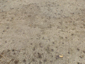 concrete floor textures pbr pack 3 CG Textures