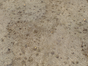 concrete floor textures pbr pack 3 CG 텍스쳐