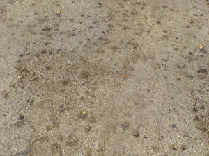 concrete floor textures pbr pack 3 CG Textures