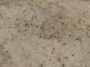 concrete floor textures pbr pack 3 CG 텍스쳐