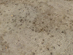 concrete floor textures pbr pack 3 CG Textures