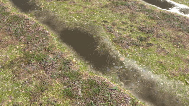 forest ground pbr pack 12 Texturas CG .c4d .max .obj .3ds .fbx .stl .blend 