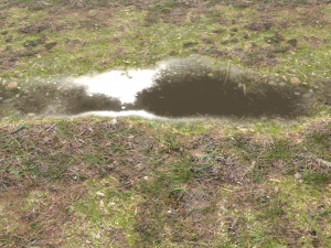 forest ground pbr pack 12 Texturas CG