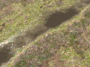 forest ground pbr pack 12 CG Textures