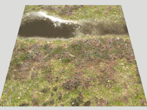 forest ground pbr pack 12 Texturas CG