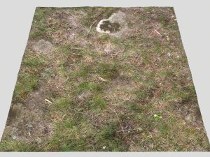 forest ground pbr pack 12 CG Textures