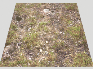 forest ground pbr pack 12 Texturas CG