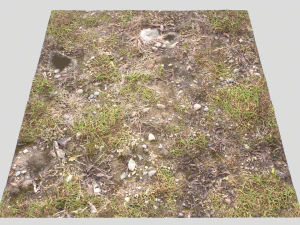forest ground pbr pack 12 CG Textures