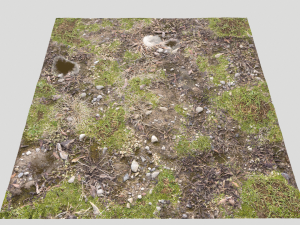 forest ground pbr pack 12 Texturas CG