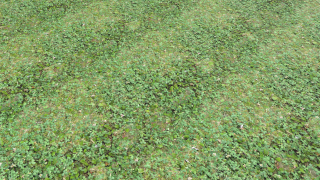 forest ground pbr pack 13 CG Текстуры .c4d .max .obj .3ds .fbx .stl .blend 