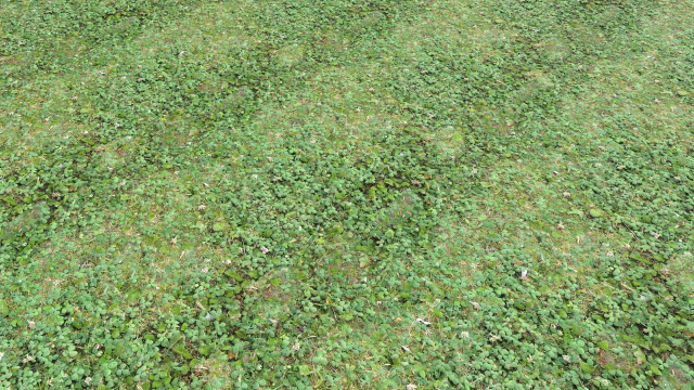 forest ground pbr pack 13 CG Textures .c4d .max .obj .3ds .fbx .stl .blend 