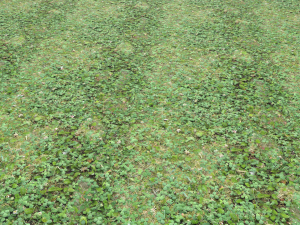 forest ground pbr pack 13 CG Текстуры