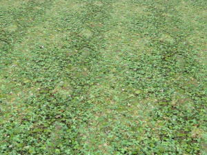 forest ground pbr pack 13 CG Textures