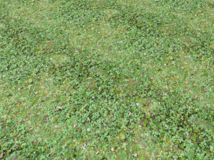forest ground pbr pack 13 CG Текстуры