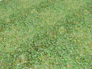 forest ground pbr pack 13 CG Текстуры