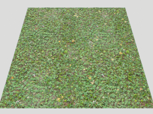 forest ground pbr pack 13 CG Текстуры