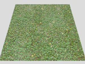 forest ground pbr pack 13 CG Textures