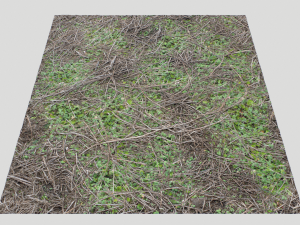 forest ground pbr pack 13 CG Текстуры