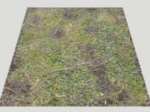 forest ground pbr pack 13 CG Текстуры