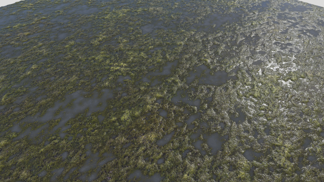 water with algae pbr CG 纹理 .c4d .max .obj .3ds .fbx .stl .blend 