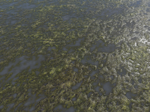 water with algae pbr CG Textures