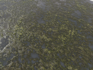water with algae pbr CG 纹理